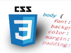 Cascading Style Sheet